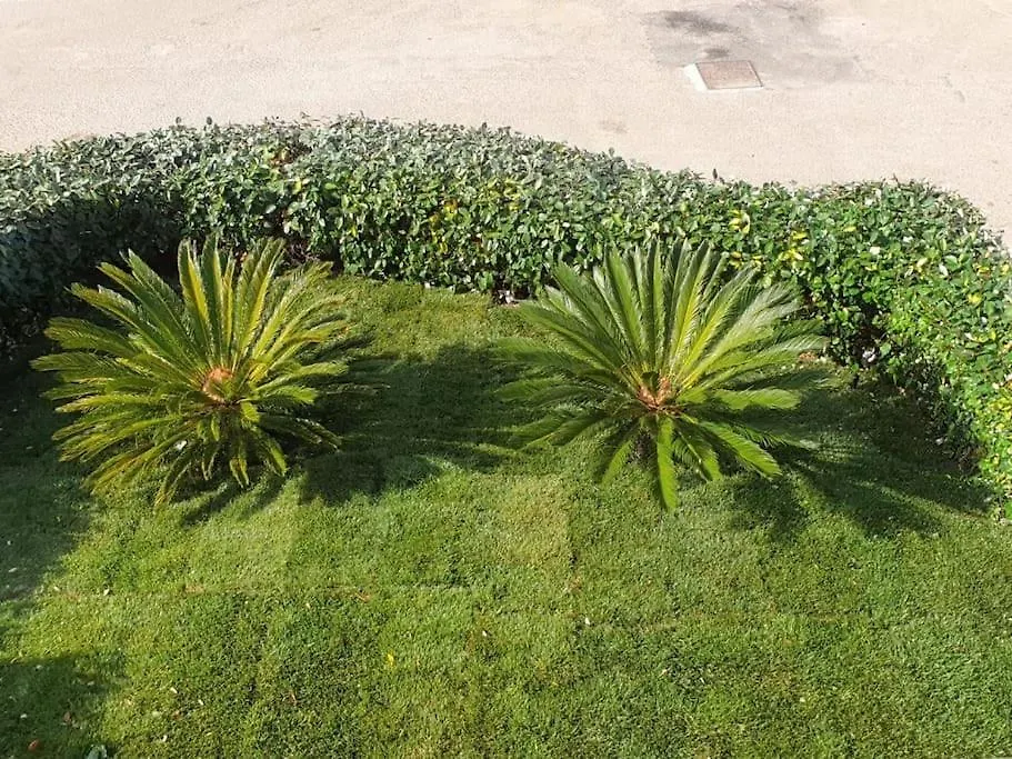 Casa Su Soli Sardu 10 - Mit Blick Aufs Meer! Valledoria  Italien